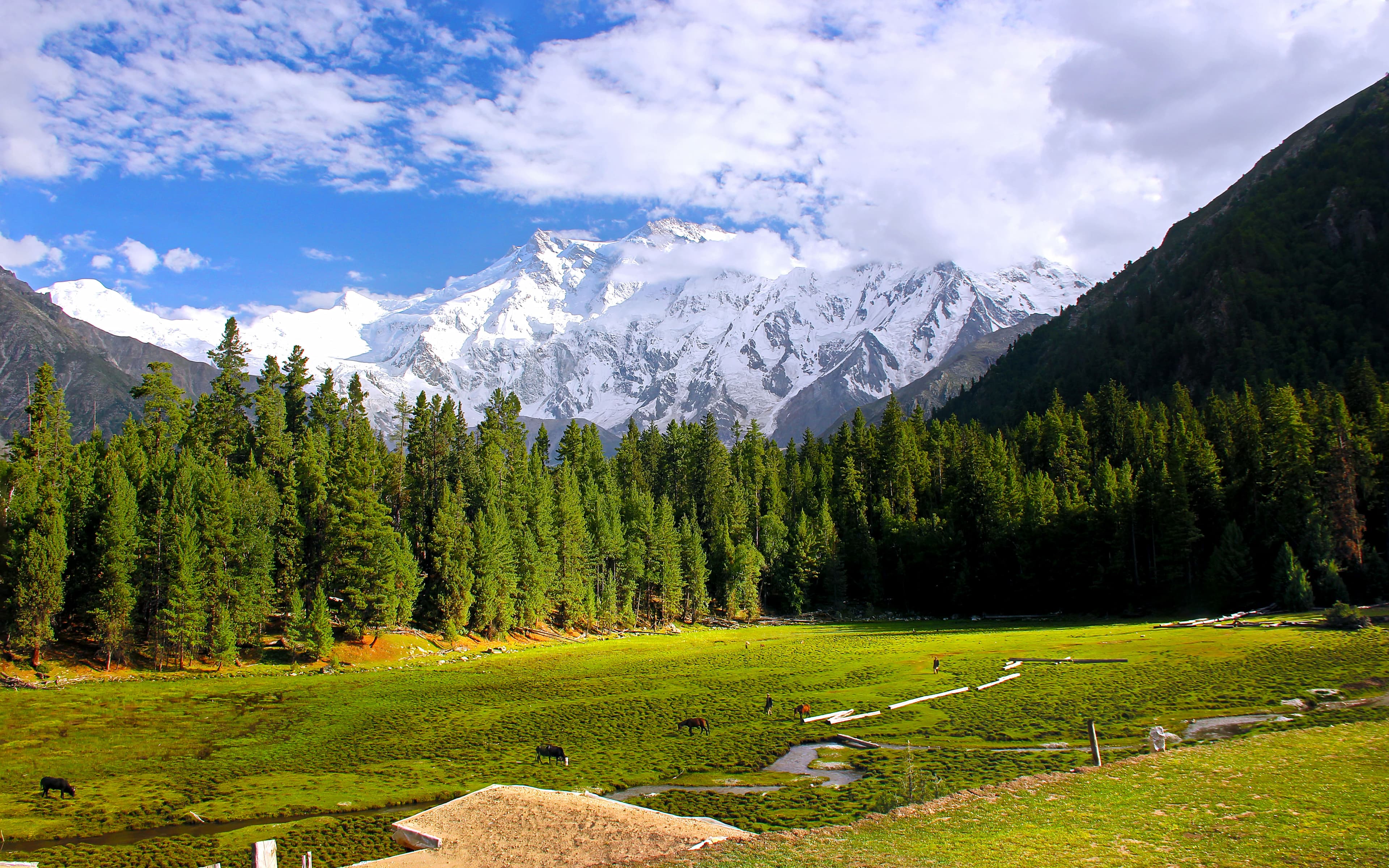 Fairy_Meadows,_Pakistan.jpg